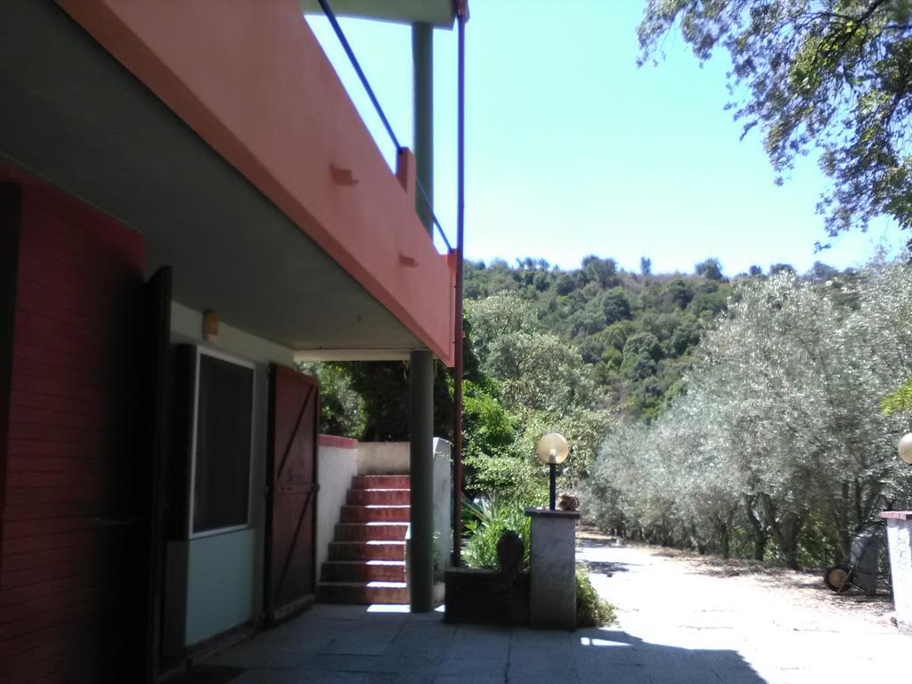 B&B La Quercia San Gregorio  Экстерьер фото